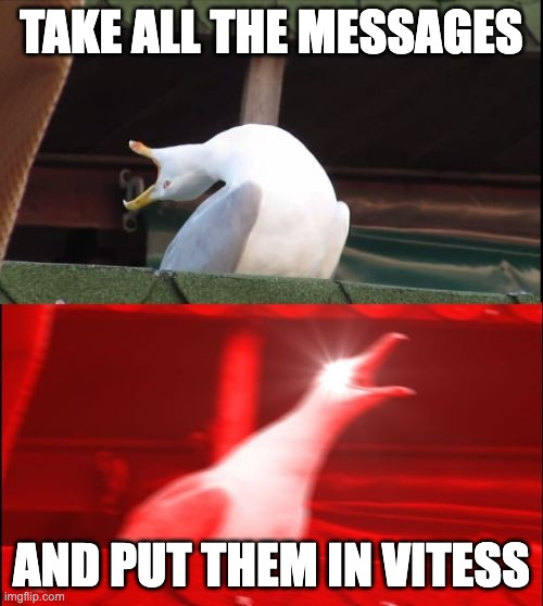 Seagull meme about migrating